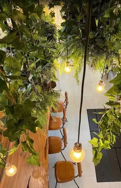 Leather stools at a long wooden counter under hanging plants and bare bulbs