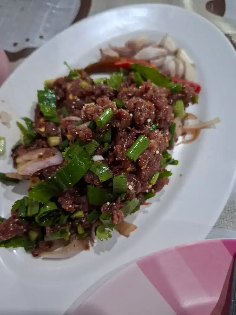 Larb, minced meat with spring onion and herbs