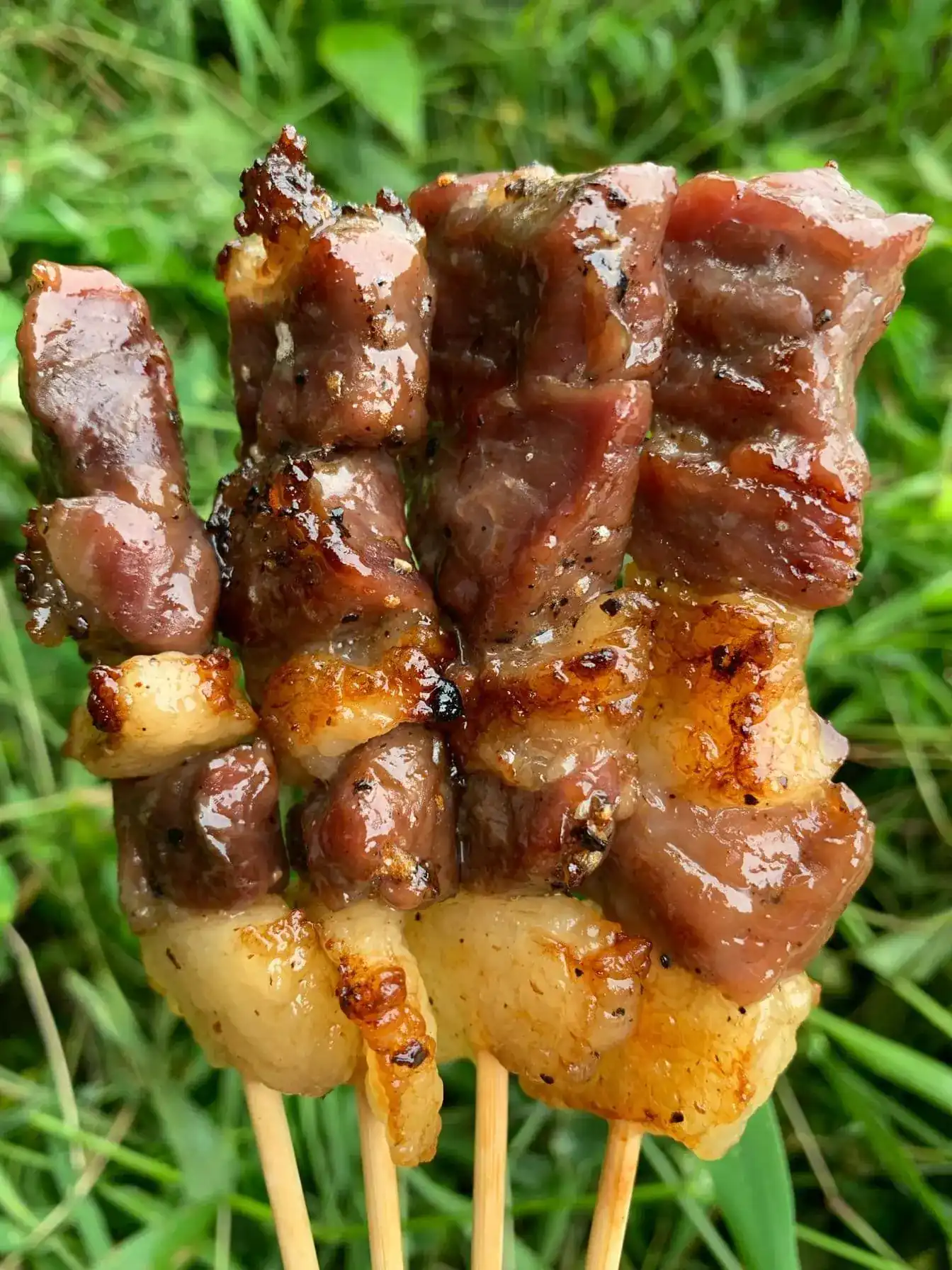 Four glazed, peppered skewers held up against green grass