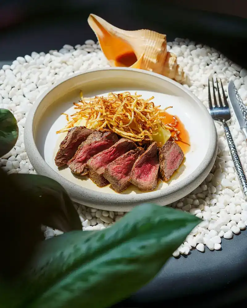 Sliced steak with crisp potato straws in a pale bowl