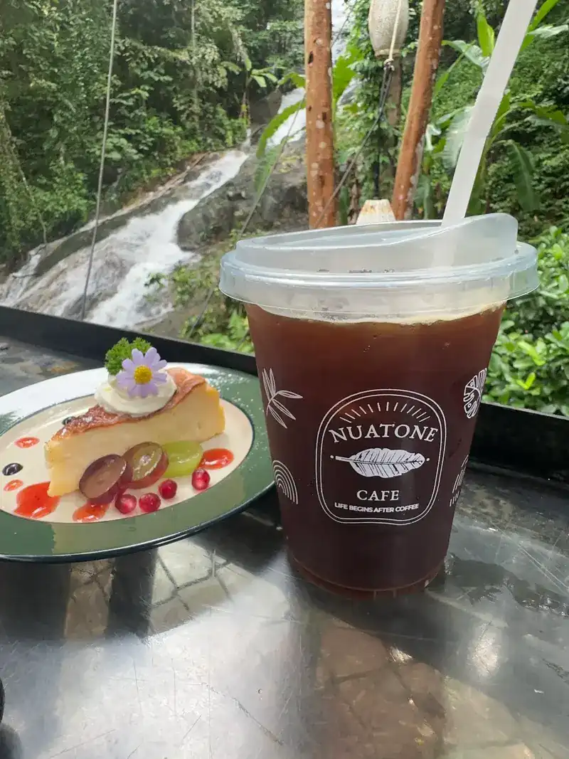 Iced black coffee in a Nuatone Cafe cup and a slice of cake with fruit, the waterfall behind