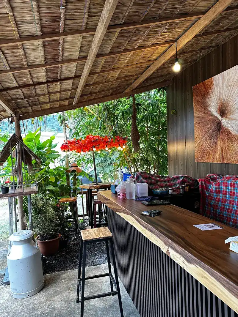 The long wooden counter under a thatched roof, with plants beyond