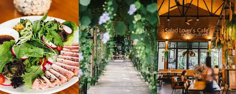 A plate of salad leaves with sliced seared tuna, beside a walkway under flowering vines
