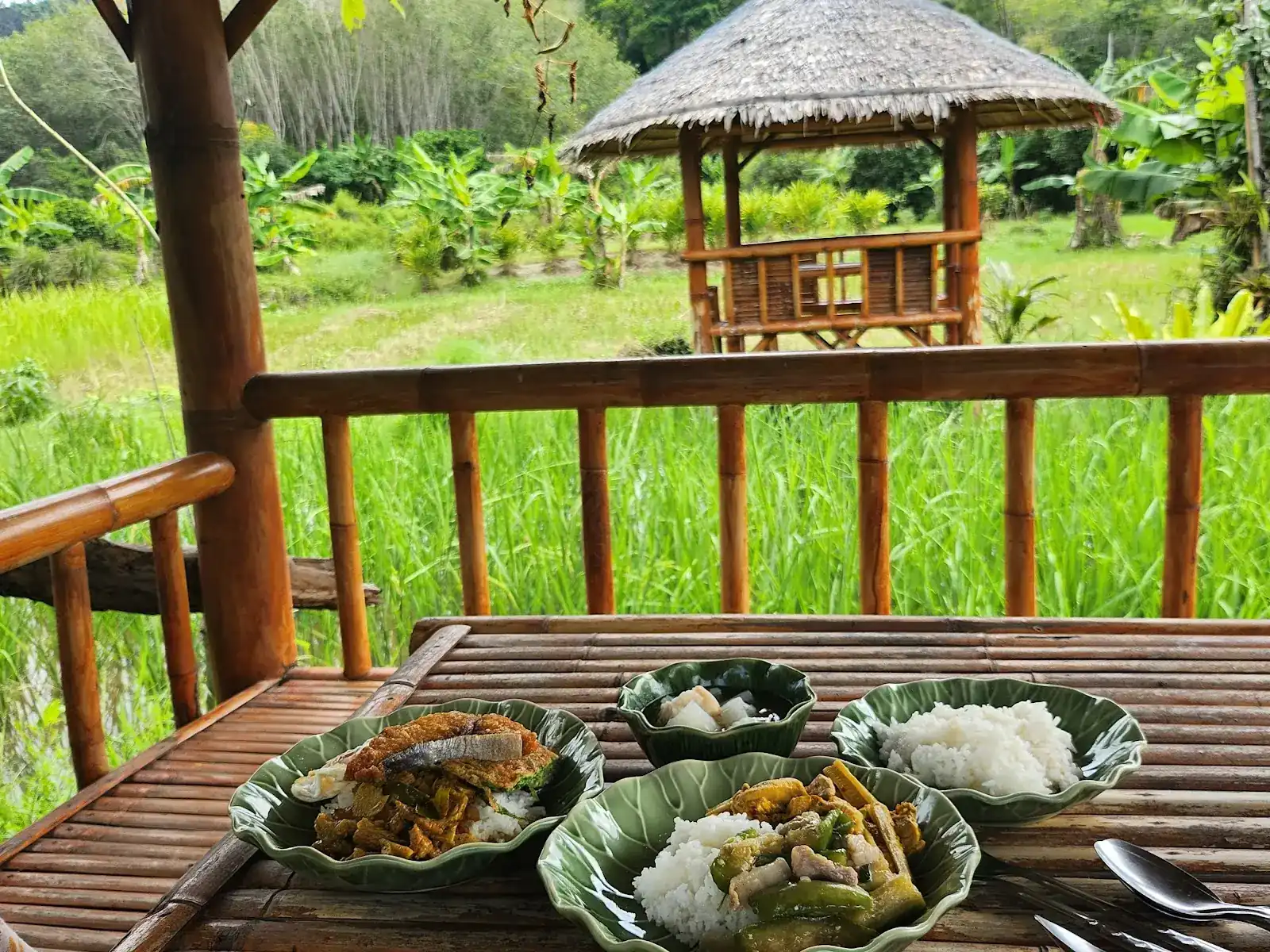 Rice and curry on green leaf-shaped plates at a bamboo table, a thatched sala and the rice field behind / ข้าวแกงในจานรูปใบไม้บนโต๊ะไม้ไผ่ ด้านหลังเป็นศาลามุงจากและทุ่งนา