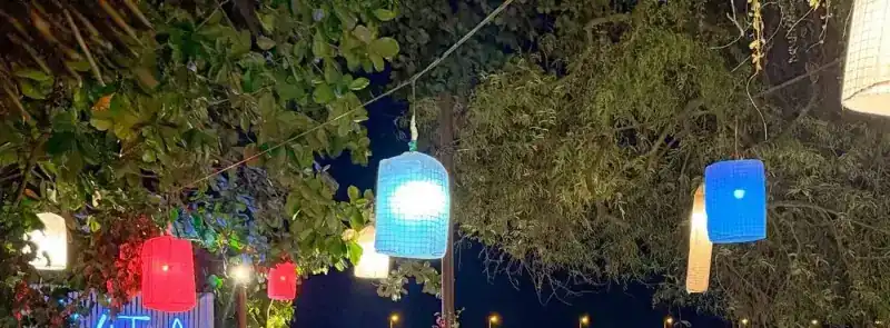 Paper lanterns lit in the trees at night