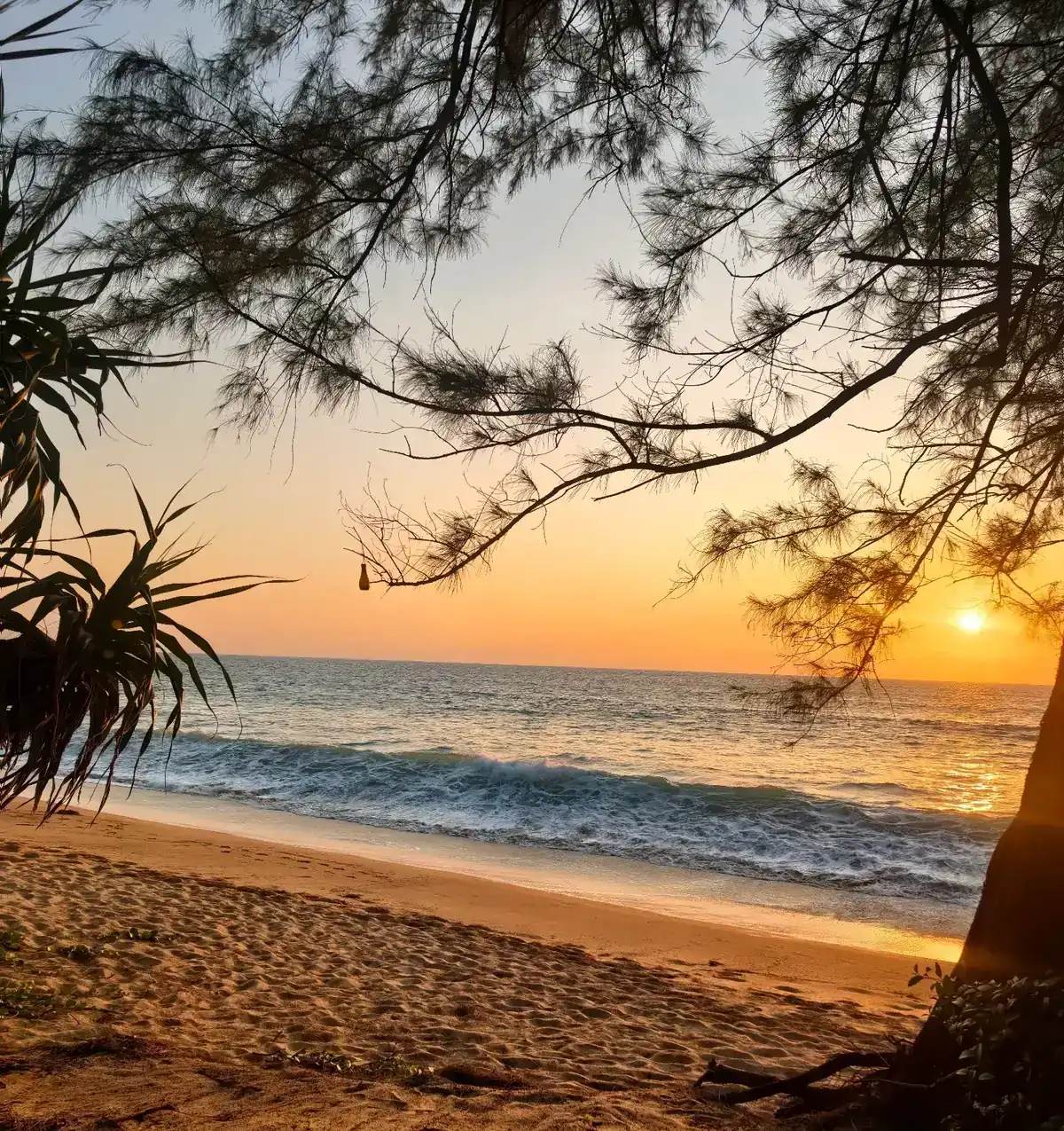 Sunset over the sea at Mai Khao Beach, seen through the beach trees