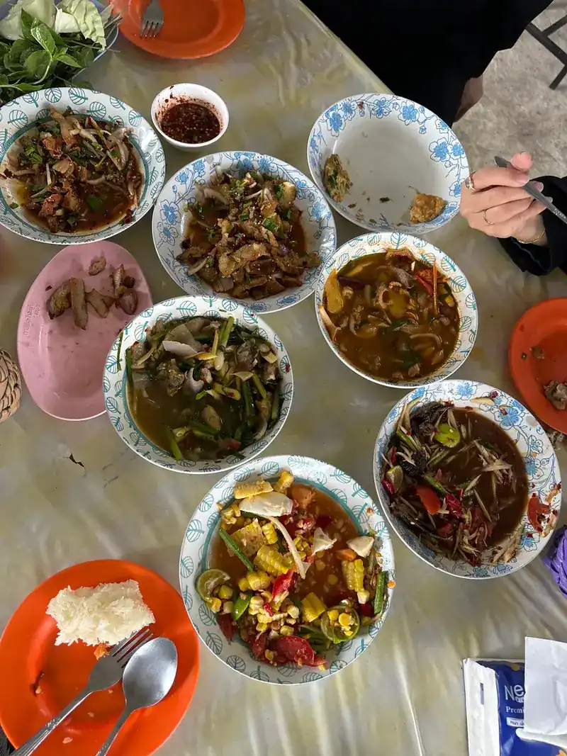 Blue-patterned bowls of salads and soups, sticky rice on an orange plate and fresh greens