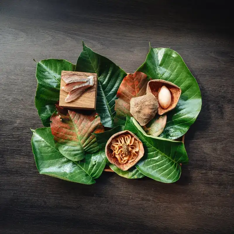 Small bites served on a bed of fresh green and red leaves