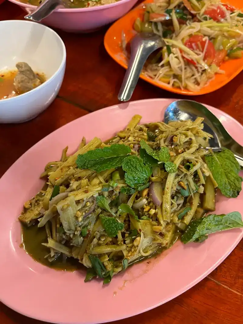 Bamboo-shoot salad with fresh mint on a pink plate