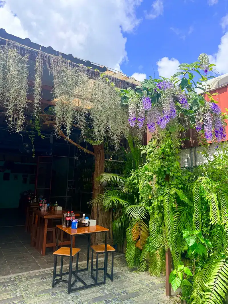 Wooden tables under hanging moss and a purple flowering vine