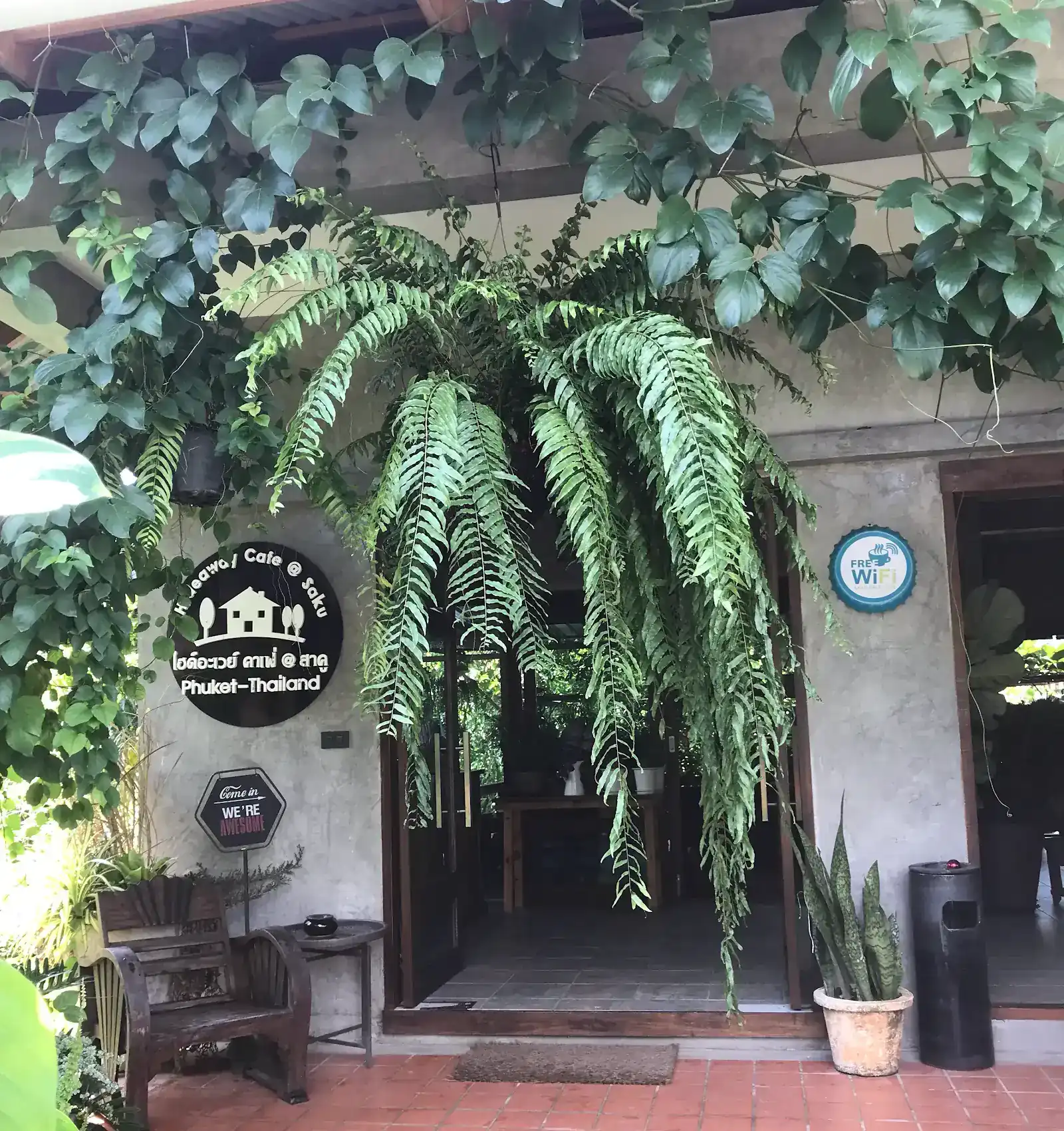 The entrance to Hideaway Café @ Saku, with a large fern hanging over the open glass doors