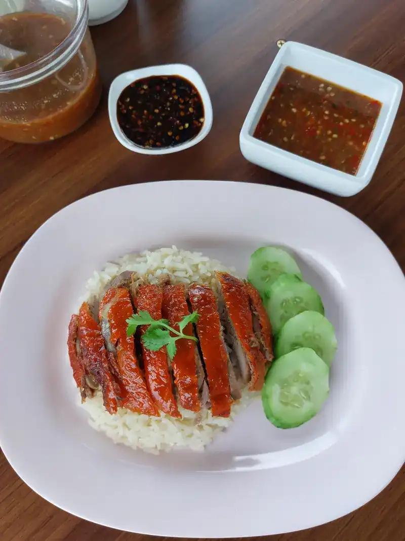 Roast duck sliced over rice on a pink plate, with cucumber and sauces