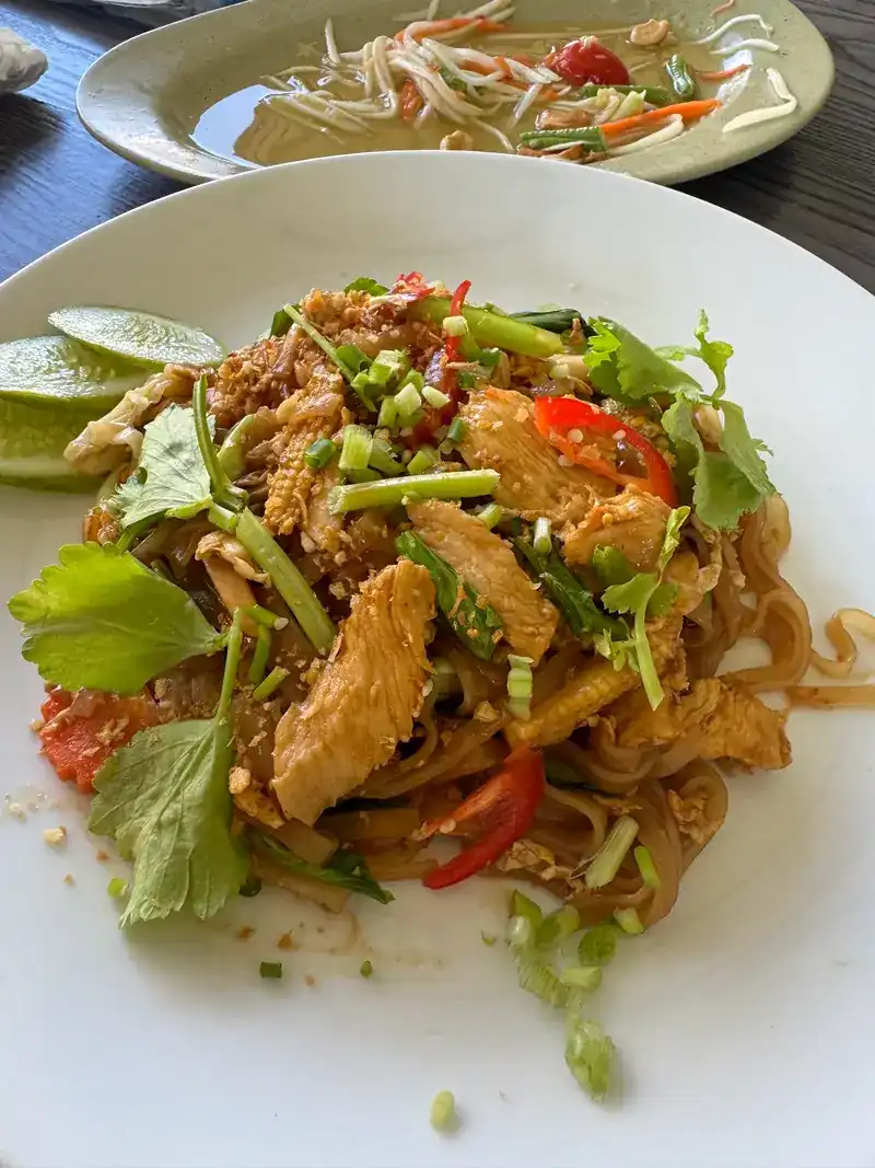 Stir-fried rice noodles with chicken and chilli / ก๋วยเตี๋ยวผัดใส่ไก่และพริก