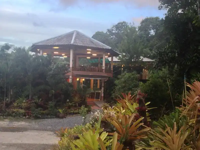 The restaurant's two-storey pavilion with its lights on at dusk, among tropical plants