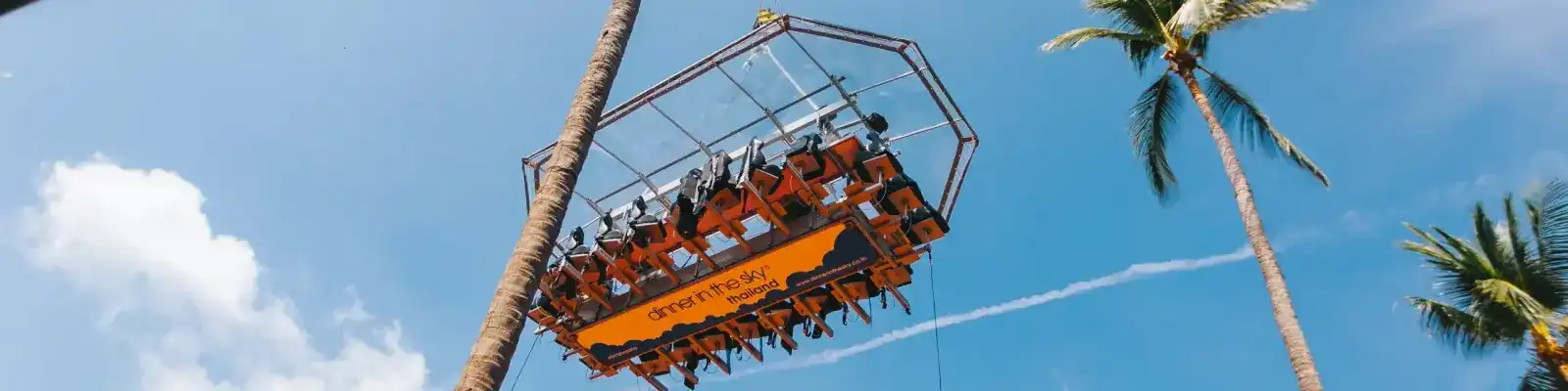 The dining platform seen from the ground, hanging against a blue sky between palm trees