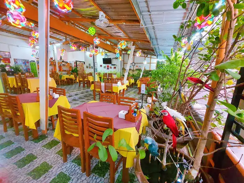 The dining room: yellow and plum tablecloths, wooden chairs, coloured lanterns under the roof and model parrots among the plants