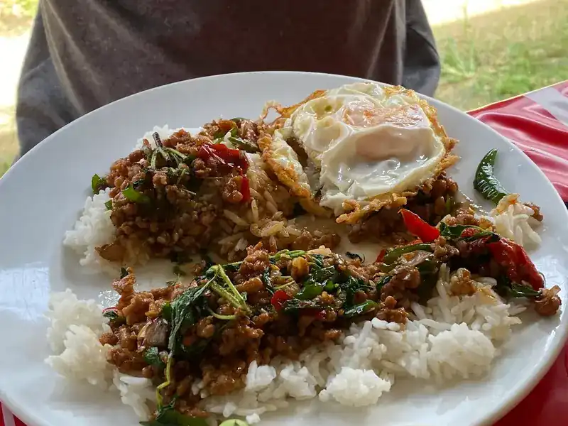 Holy basil stir-fry on rice with a fried egg