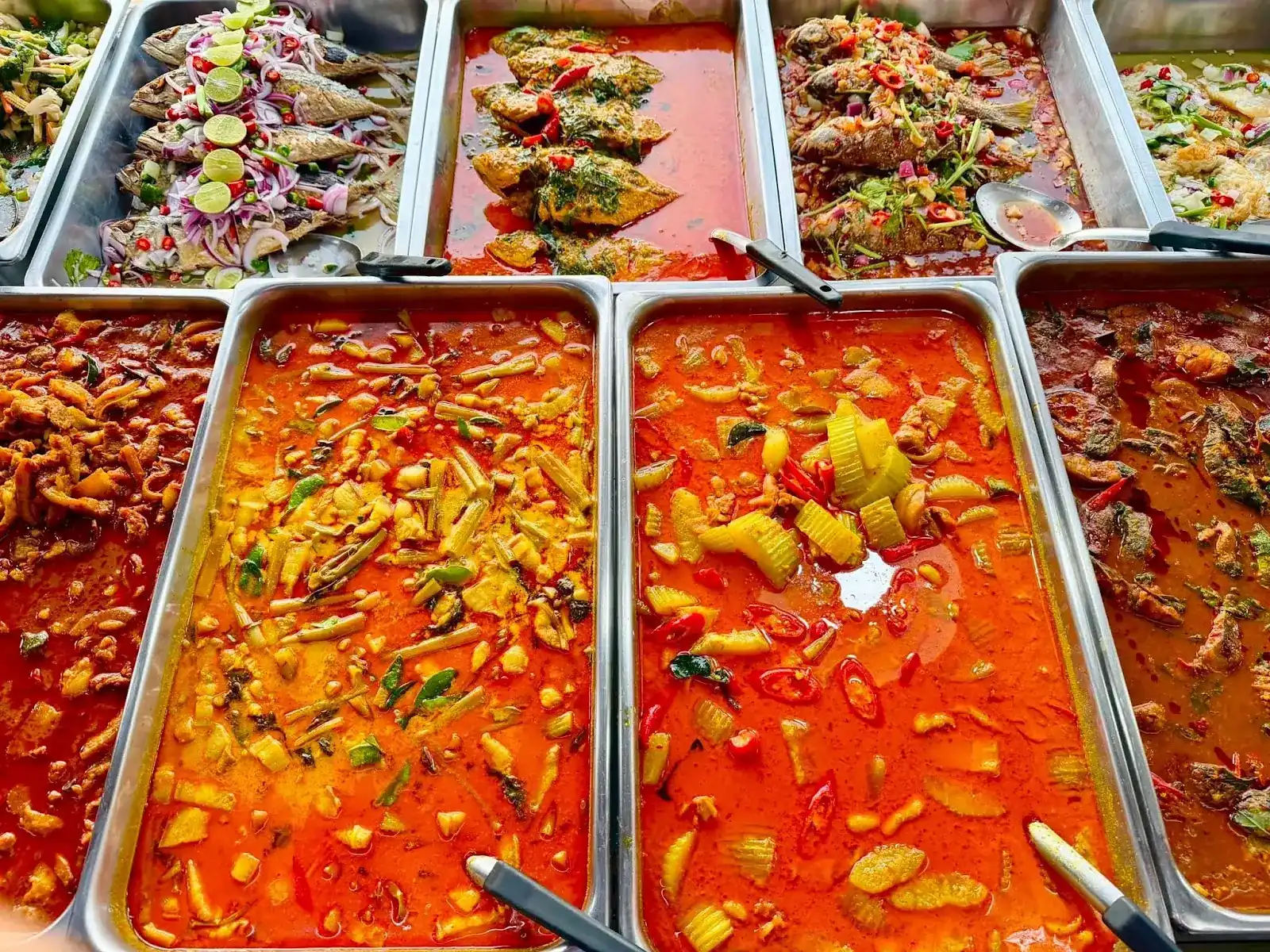 Steel trays of southern curries and fish lined up on the counter