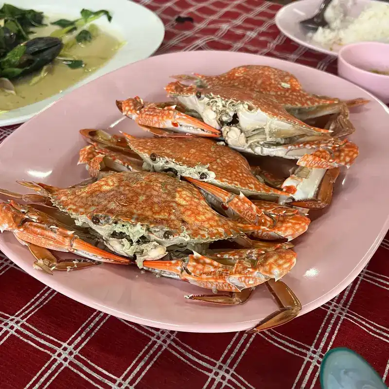 Three cooked blue crabs on a pink plate on a red checked cloth / ปูม้าสุกสามตัวบนจานสีชมพู บนผ้าปูโต๊ะลายตารางสีแดง