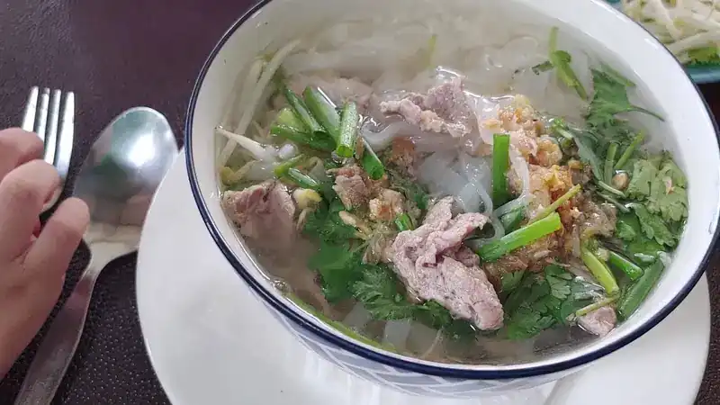 A bowl of noodle soup with herbs and spring onion | ก๋วยเตี๋ยวน้ำ โรยผักชีและต้นหอม