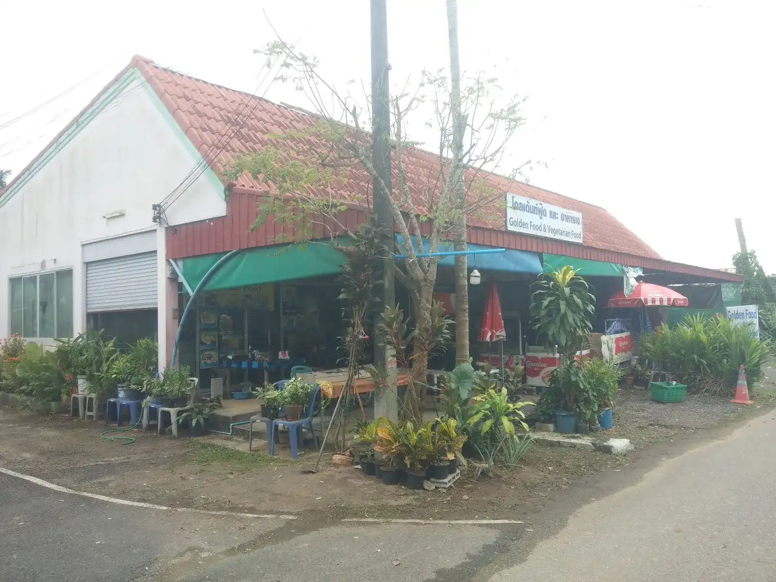 The restaurant under its red-tiled roof, with the blue and white Golden Food & Vegetarian Food sign and potted plants out front / ร้านใต้หลังคากระเบื้องสีแดง ป้ายสีน้ำเงินขาว โกลเด้นท์ฟู้ด และ อาหารเจ และกระถางต้นไม้หน้าร้าน