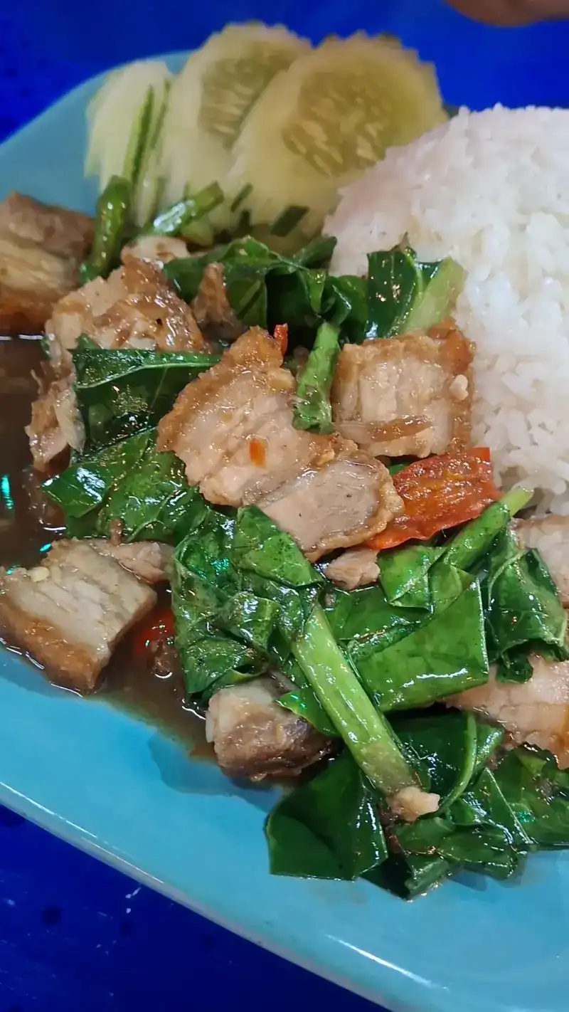Crispy pork stir-fried with Chinese kale, served with rice and cucumber