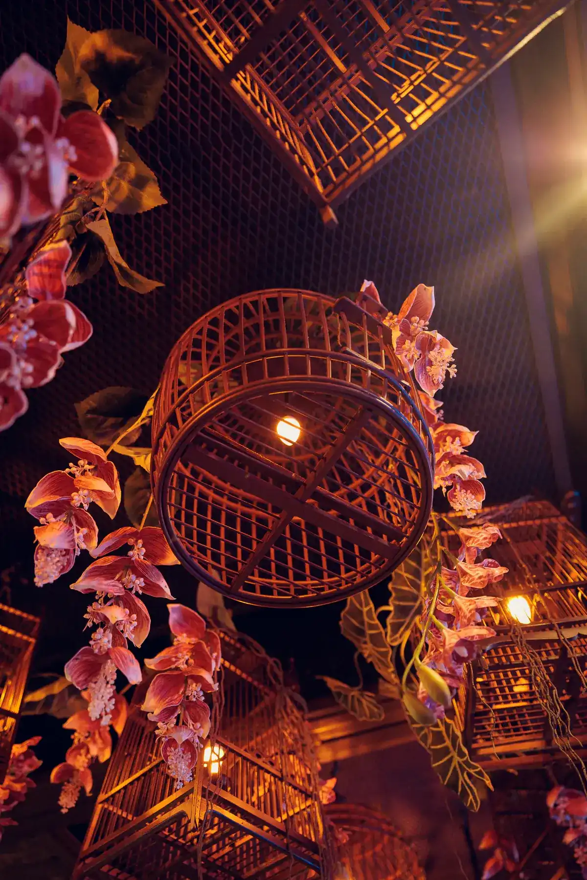 Bamboo birdcage lanterns and pink orchids hanging from the ceiling at Little Siam