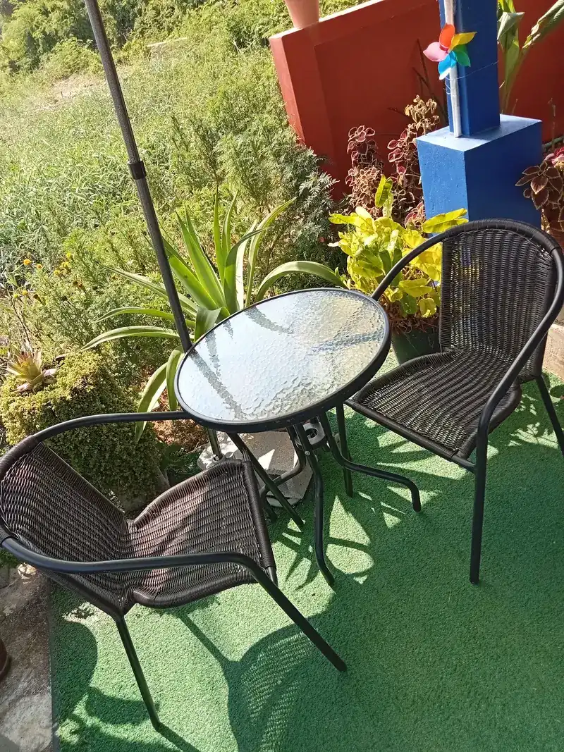 A glass table and two wicker chairs in the garden among plants / โต๊ะกระจกกับเก้าอี้หวายสองตัวในสวน ท่ามกลางต้นไม้