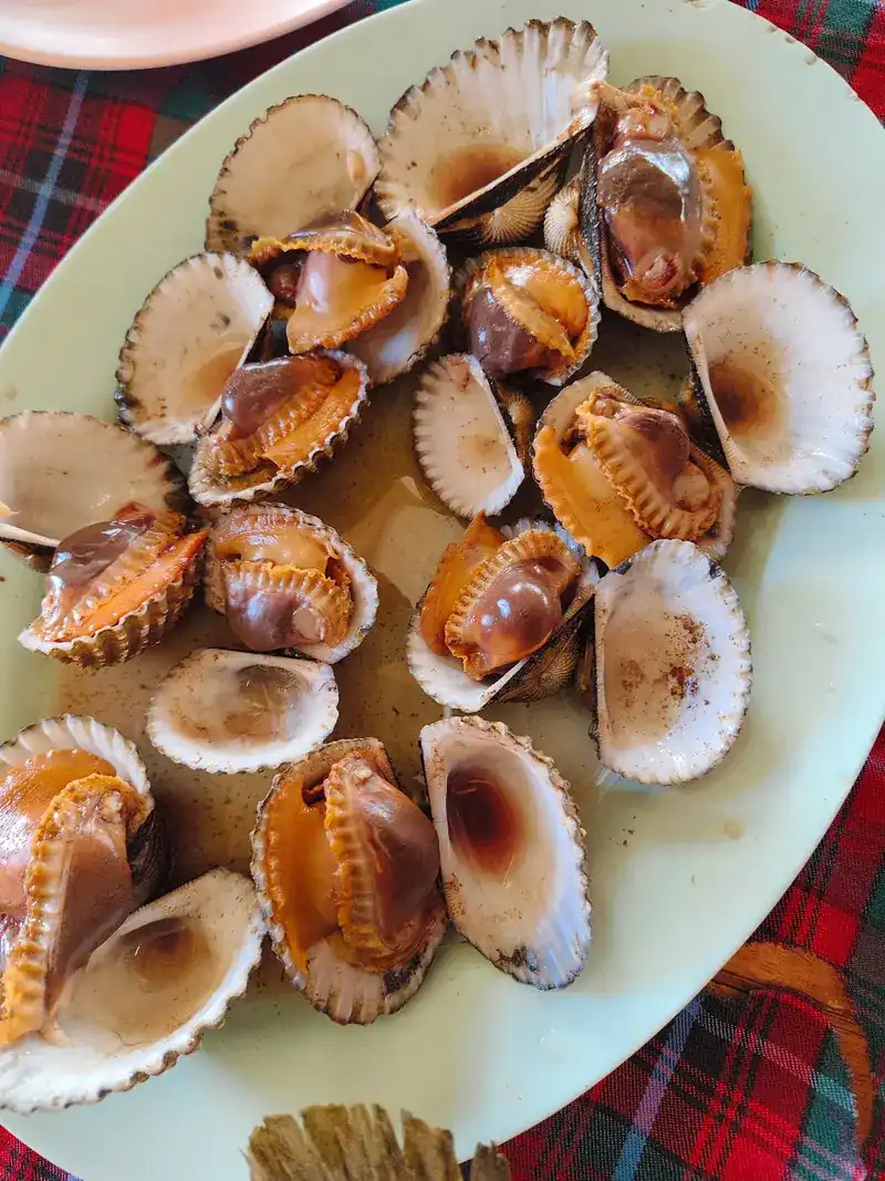 Opened cockles on an oval plate / หอยแครงเปิดฝาบนจานวงรี