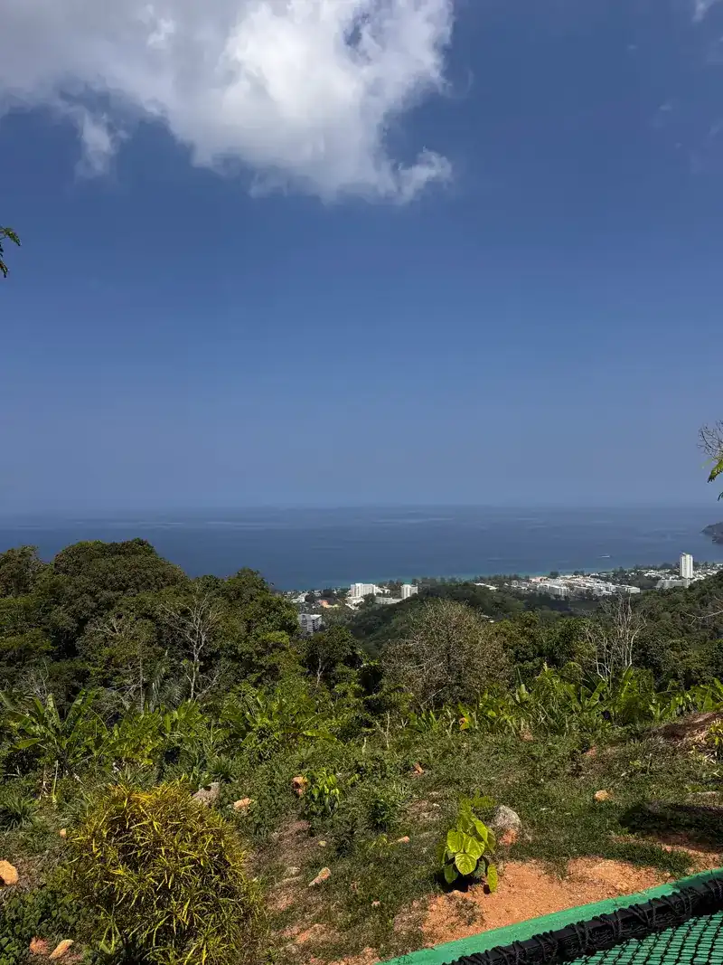 View from the hillside over the trees to Karon and the sea