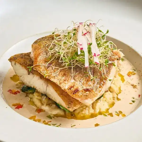 Grilled fish fillets topped with sprouts, in a pale butter sauce