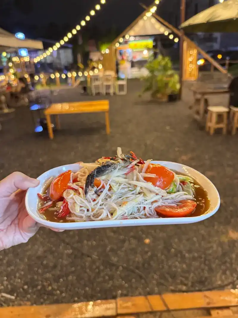 A plate of som tam held up in the yard at night