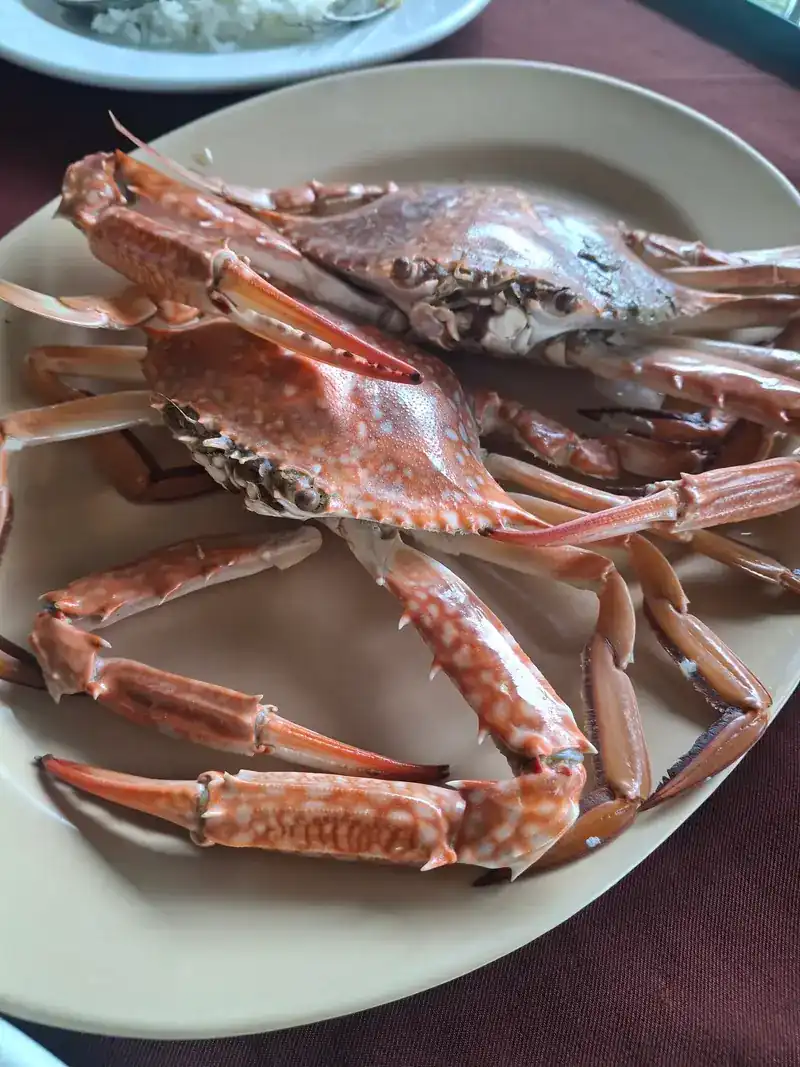Whole cooked blue crabs on a plate