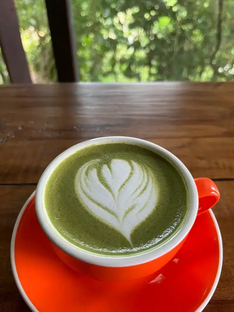A matcha latte in an orange cup, with the garden behind