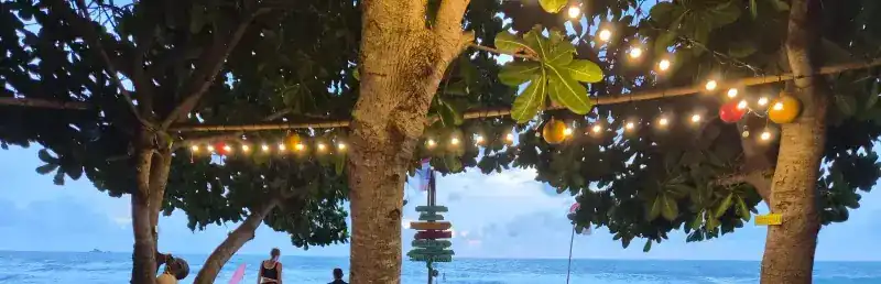 Nai Thon beach at dusk, seen under trees hung with small lights