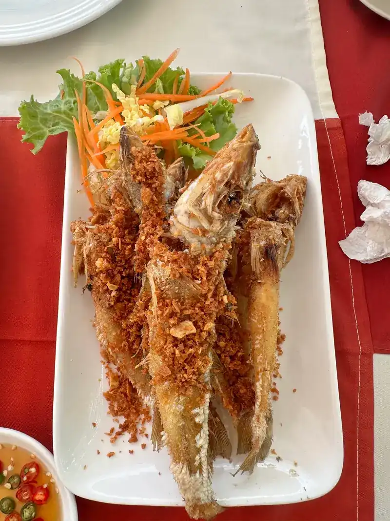 Deep-fried fish with a crisp golden topping on a white plate
