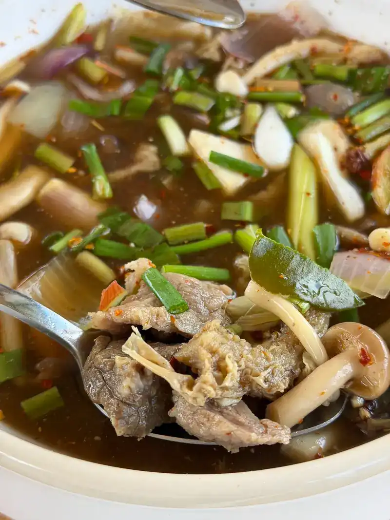 Close-up of the hot and sour soup: meat on a spoon with mushrooms, shallots, lemongrass and kaffir lime leaf