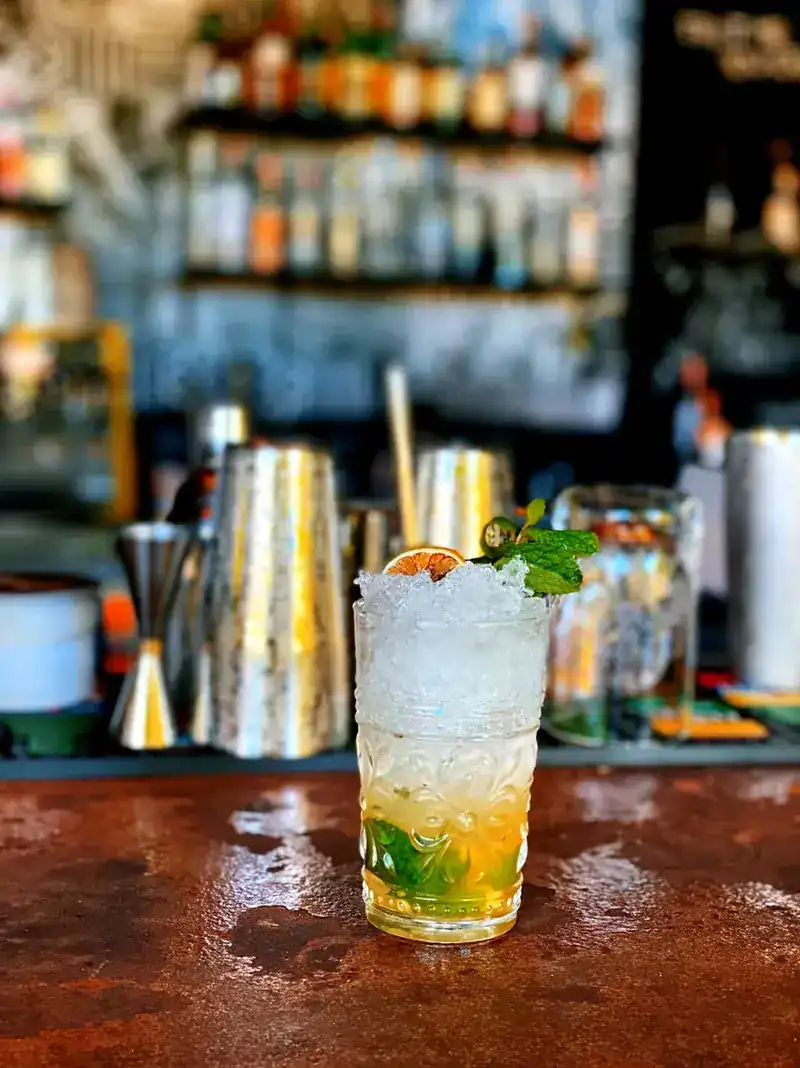 A tall glass with crushed ice, mint and dried orange on the bar counter