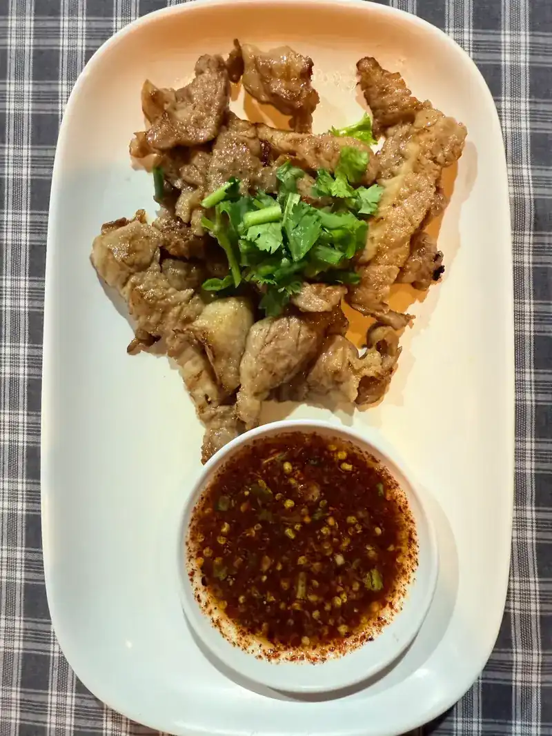 Sliced grilled meat with coriander and a bowl of chilli dipping sauce on a white plate