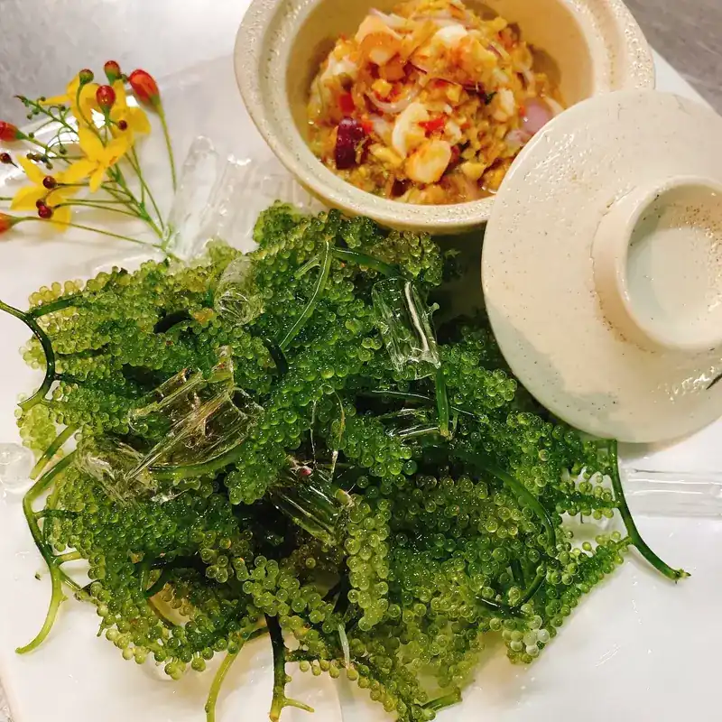 Fresh sea grapes beside a small lidded bowl