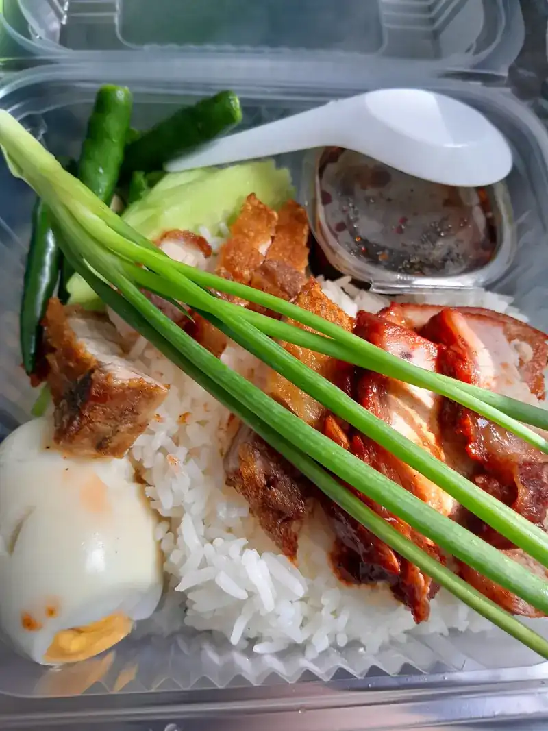 Crispy pork and red pork on rice with a boiled egg, spring onion and green chillies, in a takeaway box