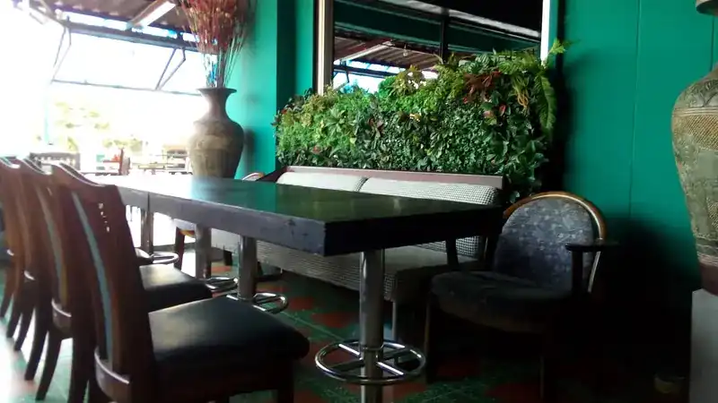 The dining room: green walls, a wall of plants and dark wooden tables