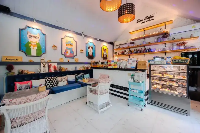 The counter at Sea Calm Cafe, with shelves of cups and jars, a glass cake case and the painted cats on the wall