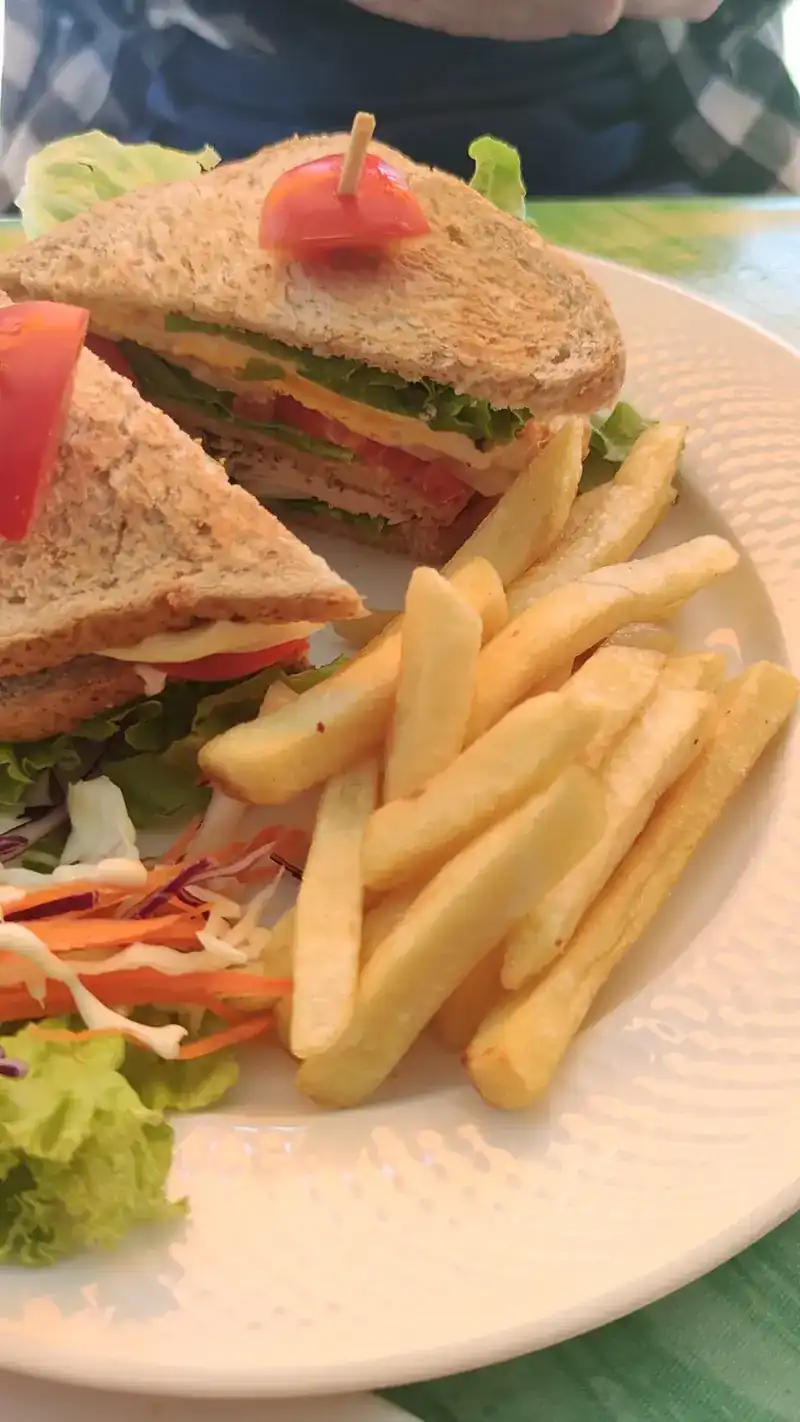 A toasted club sandwich with chips and salad