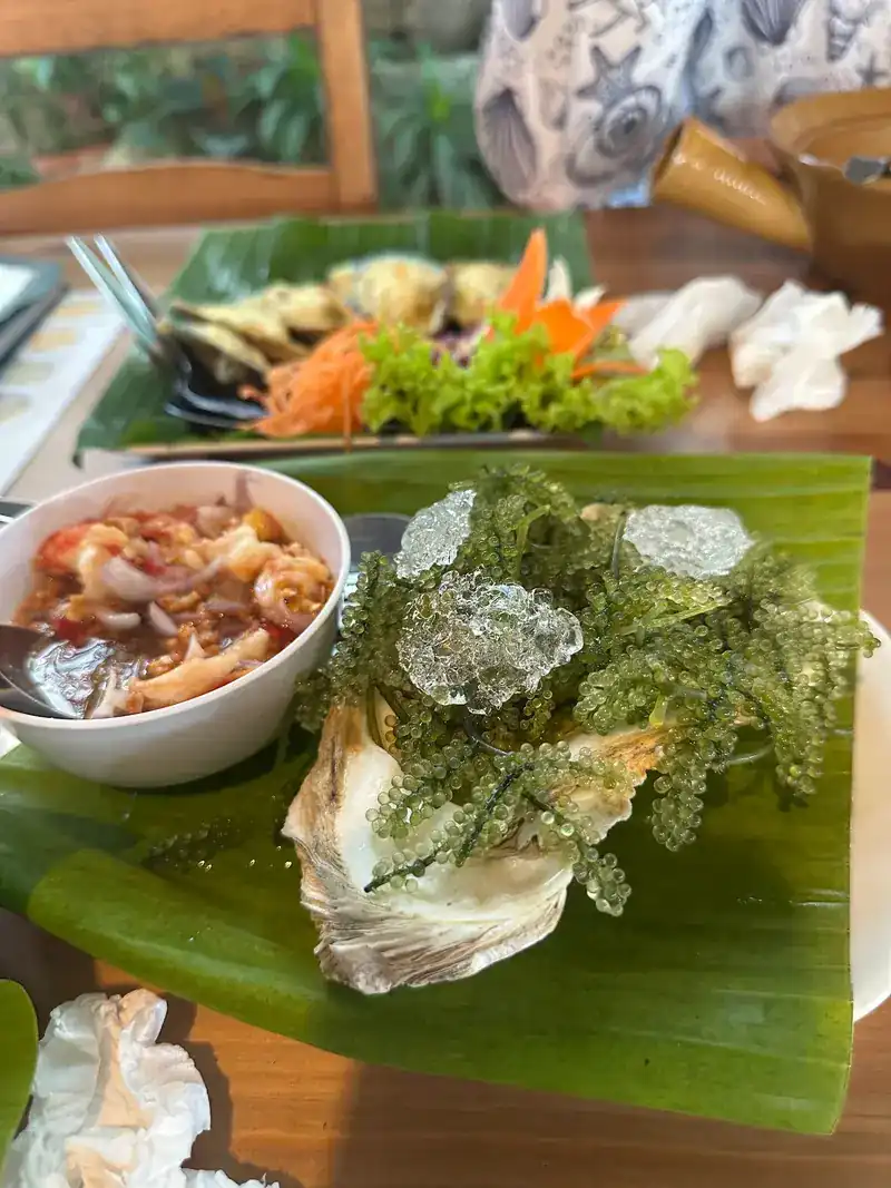 Oysters on crushed ice with sea grapes, on a banana leaf