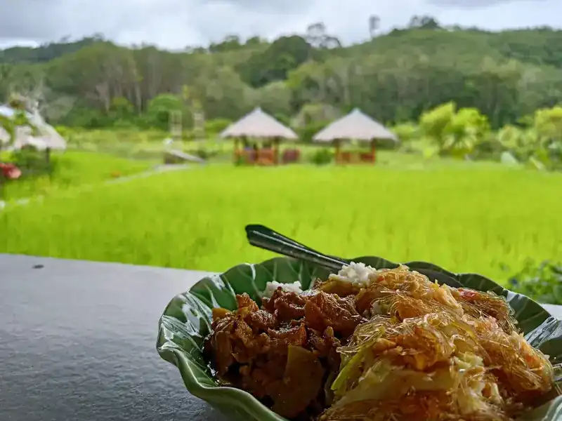 A plate of rice with two toppings, the rice field and salas behind / ข้าวราดกับข้าวสองอย่าง ด้านหลังเป็นทุ่งนาและศาลา