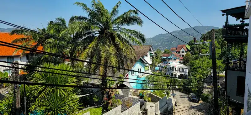 Palm trees, rooftops and green hills on a sunny afternoon in Patong