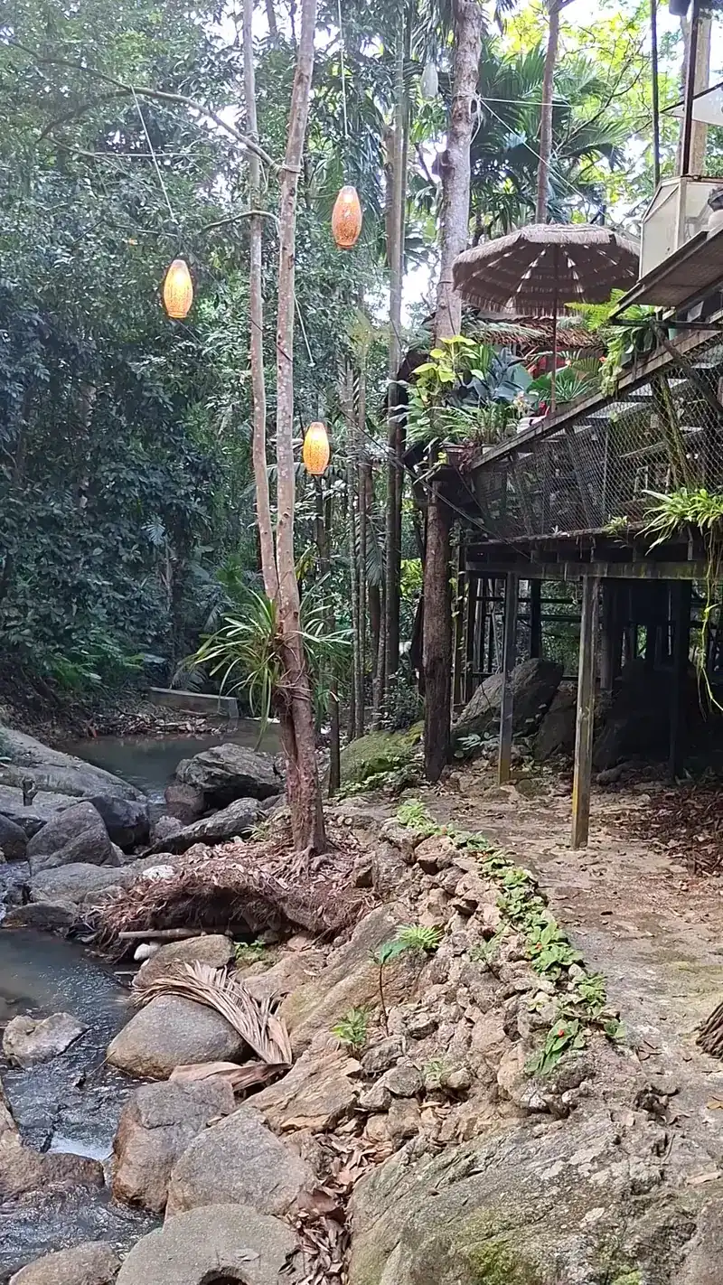 The stream running over rocks below the cafe’s deck on stilts