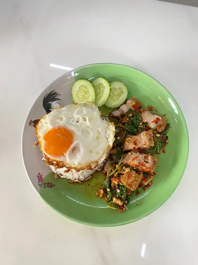 Crispy pork stir-fried with Thai basil, rice, a fried egg and cucumber on a green plate