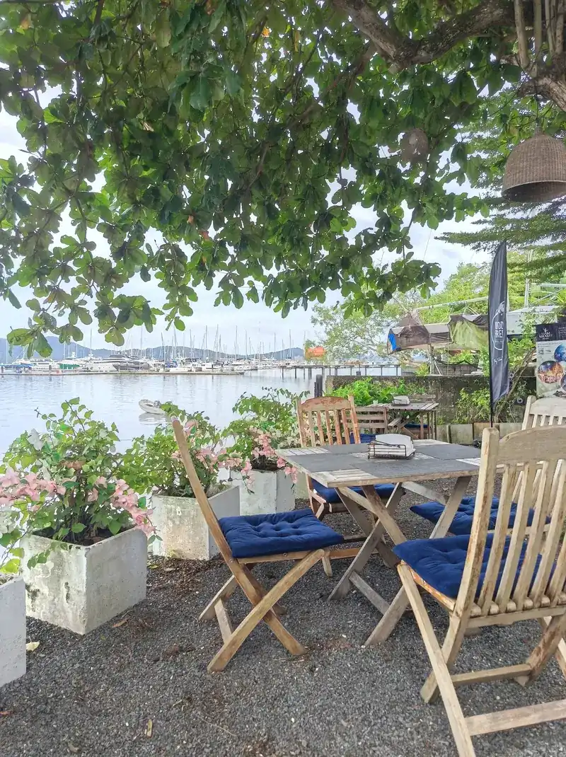 A small table with blue-cushioned chairs under a tree, flowers in planters and the bay behind